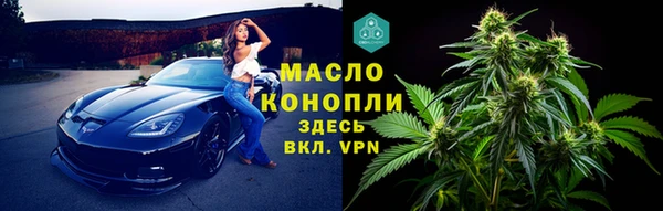 мдпв Щёлкино