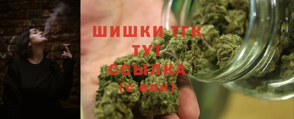 хмурый Ельня