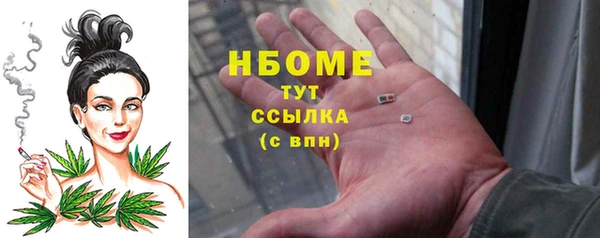 хмурый Ельня