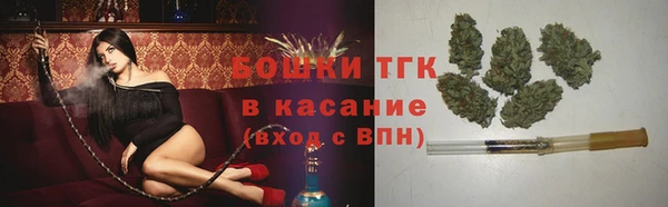 ГАЛЛЮЦИНОГЕННЫЕ ГРИБЫ Саяногорск