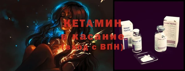 хмурый Ельня