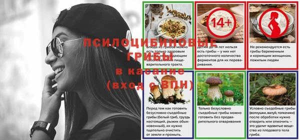 хмурый Ельня