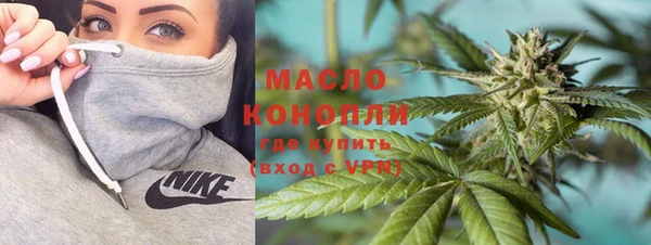 хмурый Ельня