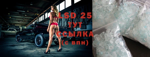 хмурый Ельня